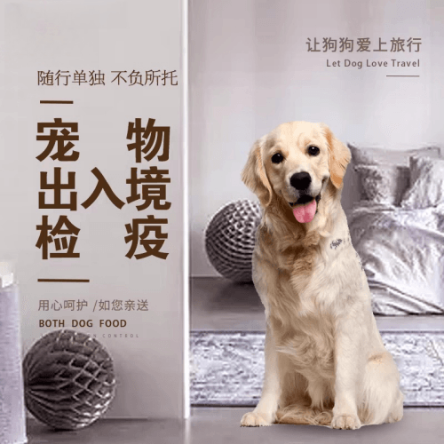 西双版纳州宠物托运到哥伦比亚猫狗宠物入境规定和