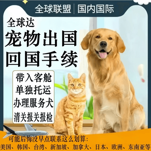 西双版纳州宠物托运到柬埔寨宠物入境规定和要求
