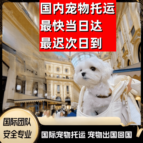 西双版纳州到澳大利亚（澳洲）宠物入境规定和要求