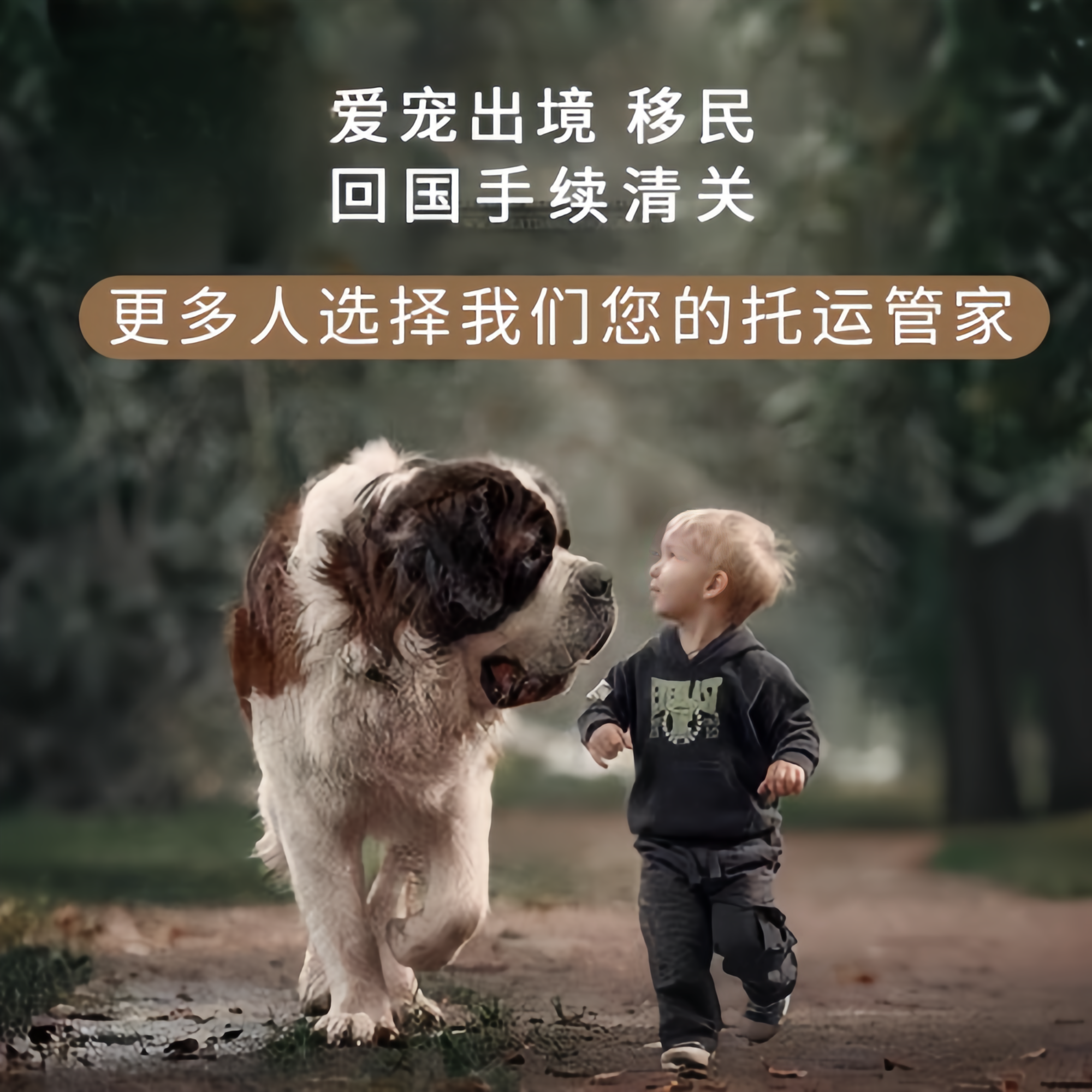 满财西双版纳州宠物全球达宠物托运在遵守入境目的地政策的条件