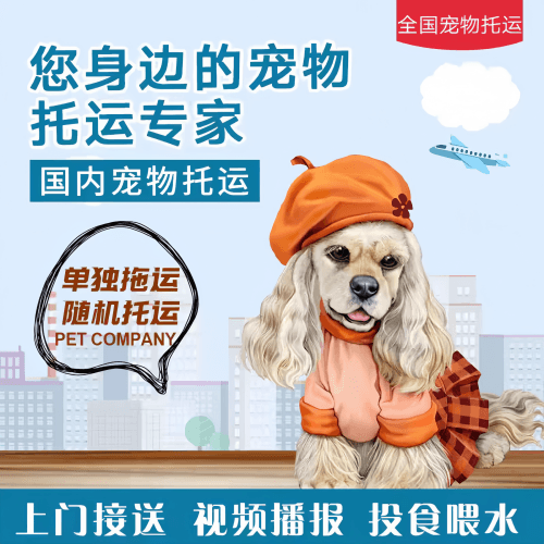 满财西双版纳州宠物全球达宠物托运作为专业的宠物运输代理机构
